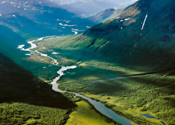 The greener the richer or the richer the greener